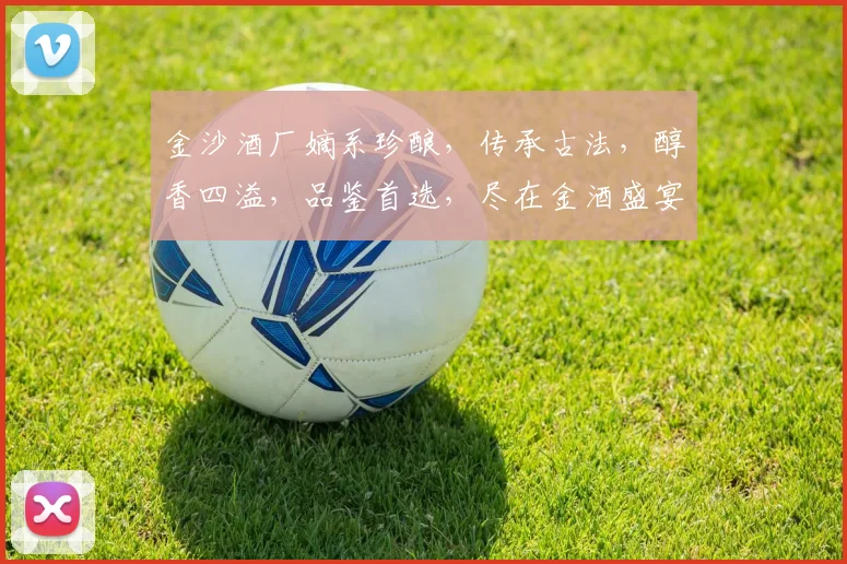 金沙酒厂嫡系珍酿，传承古法，醇香四溢，品鉴首选，尽在金酒盛宴三款佳酿。
