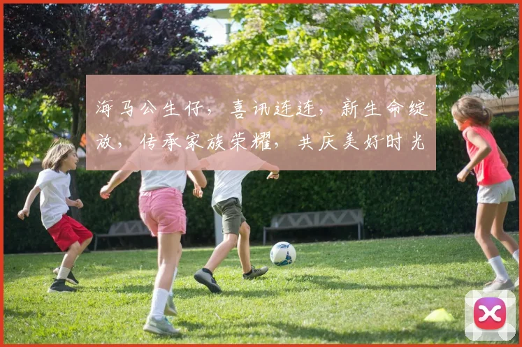 海马公生仔，喜讯连连，新生命绽放，传承家族荣耀，共庆美好时光，三喜临门