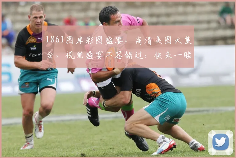 1861图库彩图盛宴，高清美图大集合，视觉盛宴不容错过，快来一睹为快